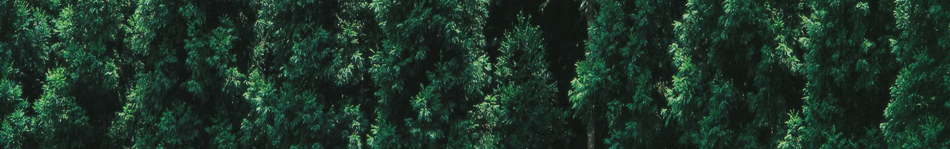 header images